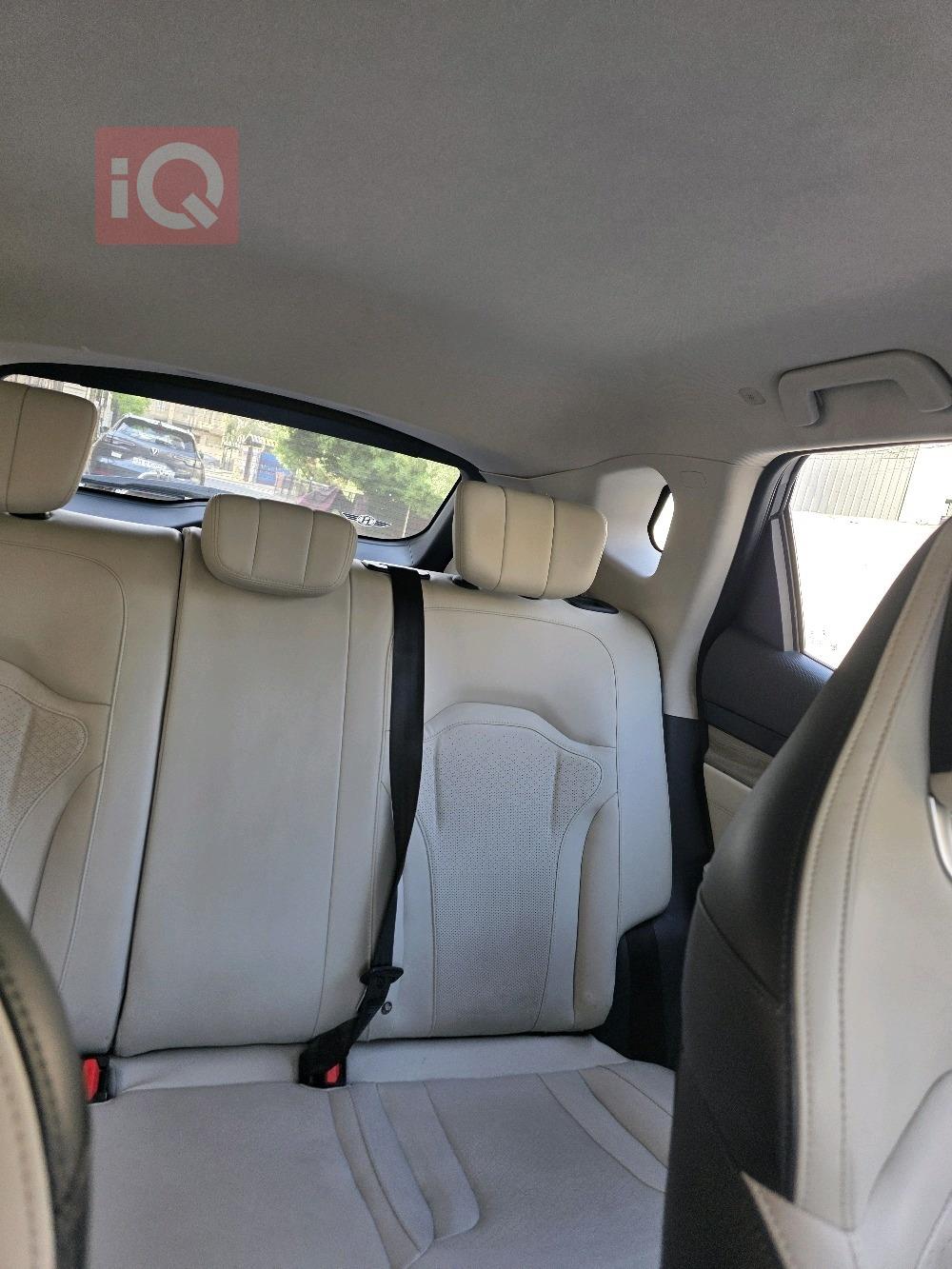 جيتور داشينج